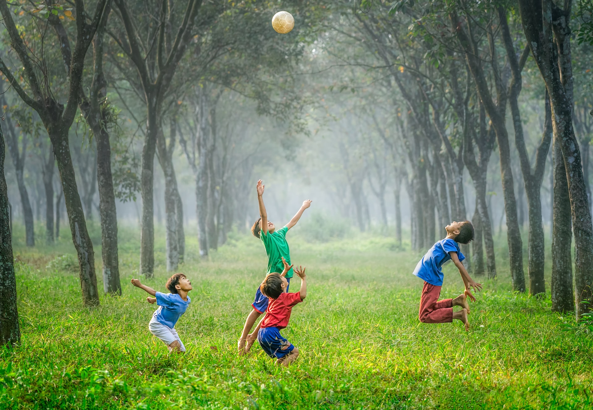 children playing together in the woods