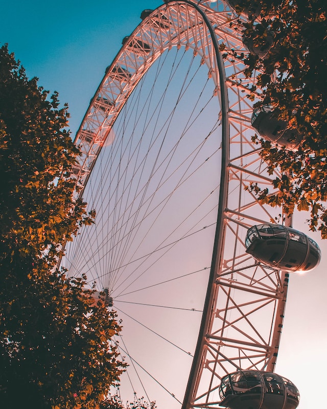 Picture of the London eye at sunset, tree in front of it