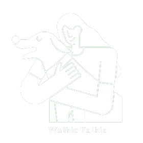 Walkie Talkie