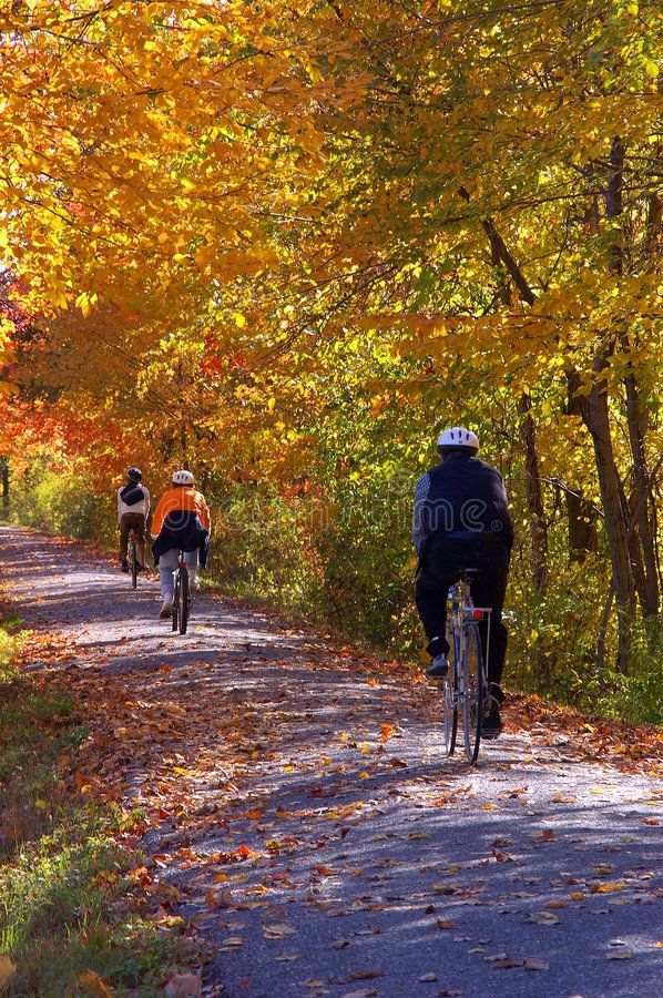 cycling in the leaves