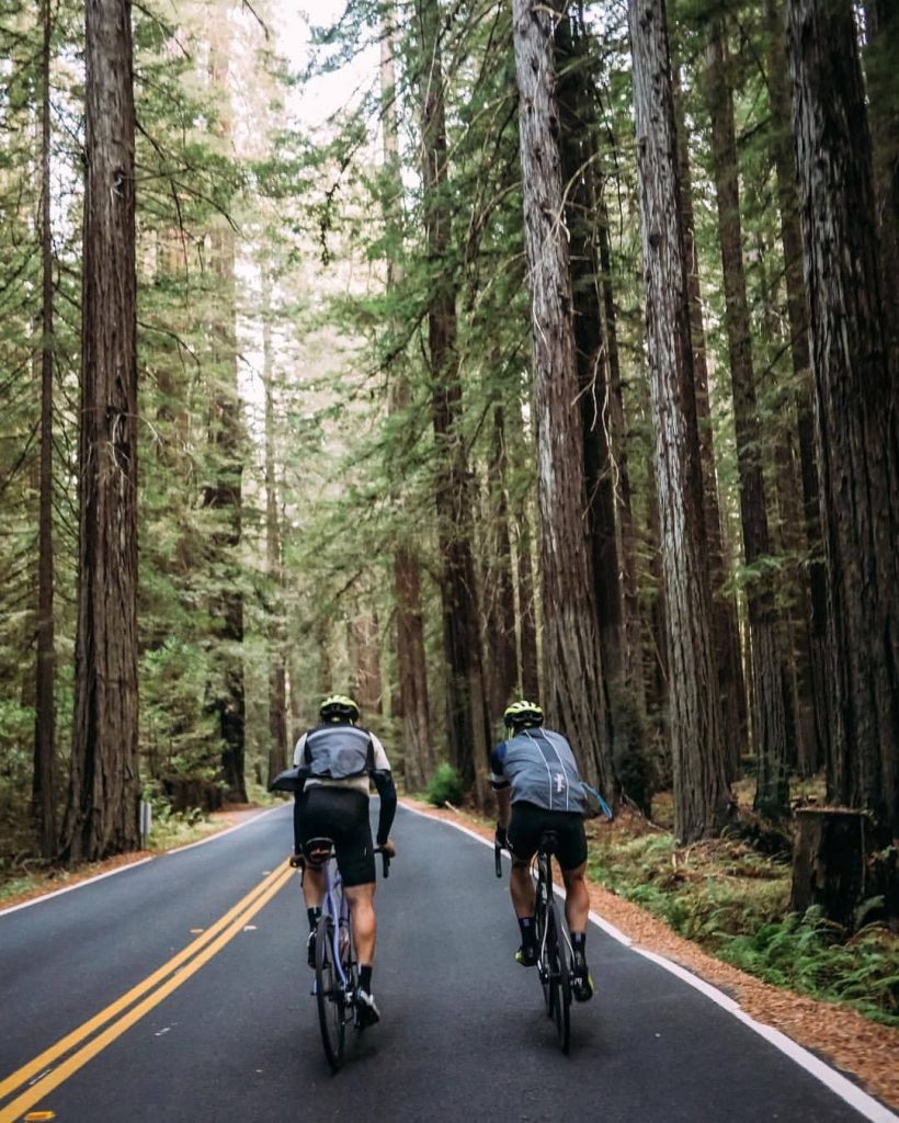 cycling in the forest