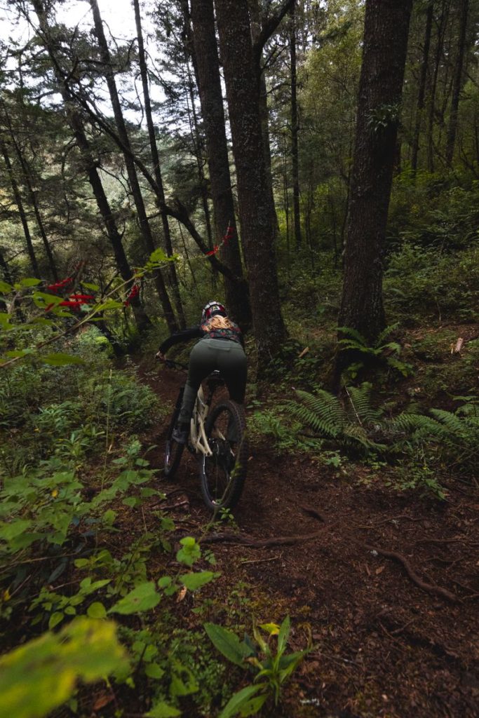 cycling in the forest