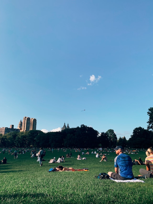 people basking in the sun on the grass
