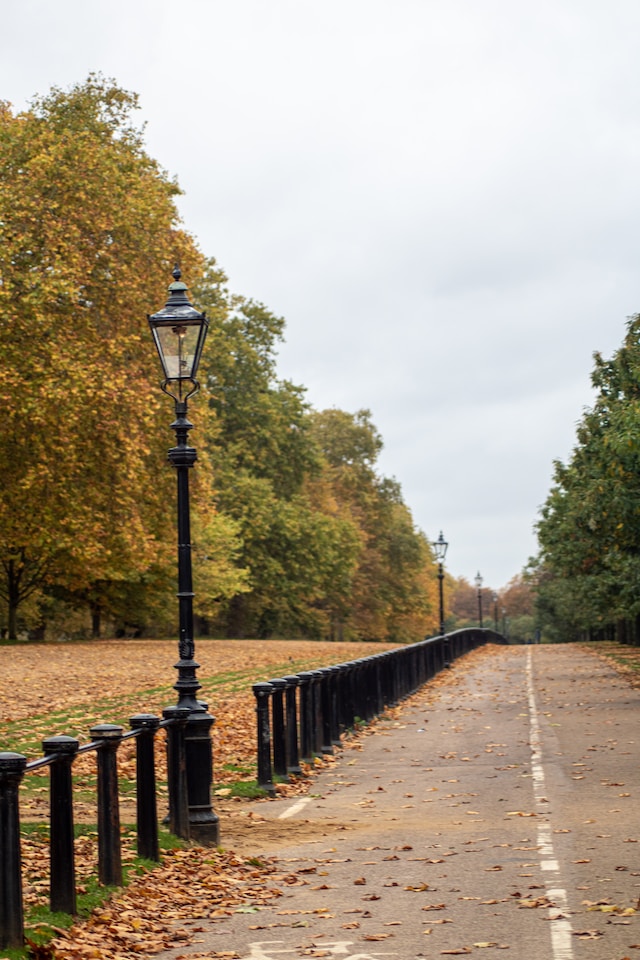 road in the park